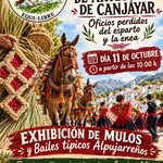 Encuentro de Artesanía de Canjáyar 2026